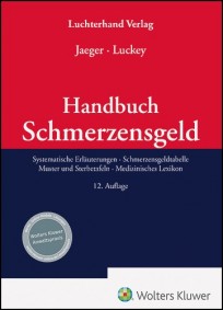 Handbuch Schmerzensgeld