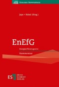 EnEfG Energieeffizienzgesetz Kommentar