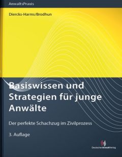 Basiswissen und Strategien für junge Anwälte